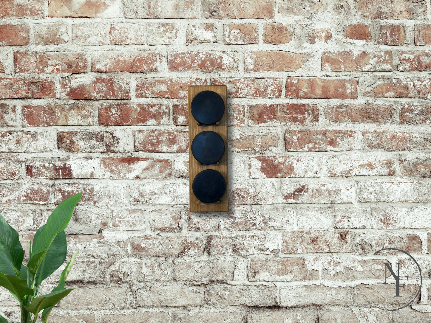 Hockey Puck Display